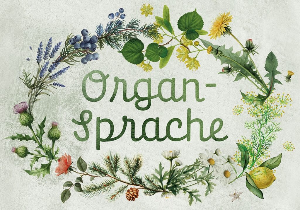 Illustration Organsprache – natürliche Symbolik für die ganzheitliche Deutung von Körpersymptomen in der Ausbildung